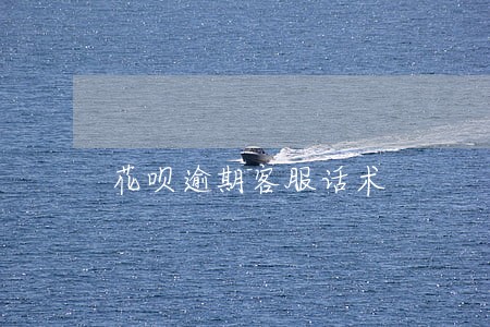 花呗逾期客服话术 花呗逾期客服话术