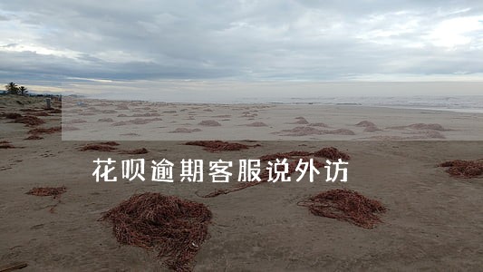 花呗逾期客服说外访 花呗逾期客服说外访