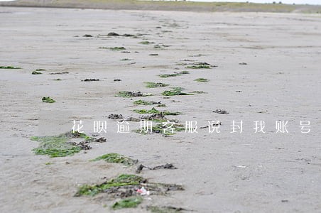 花呗逾期客服说封我账号 花呗逾期客服说封我账号