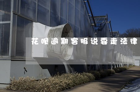 花呗逾期客服说要走法律程序 花呗逾期客服说要走法律程序
