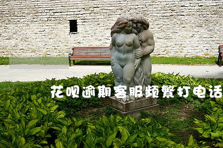 花呗逾期客服频繁打电话 花呗逾期客服频繁打电话