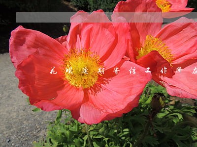 花呗逾期寄信工作所在地 花呗逾期寄信工作所在地