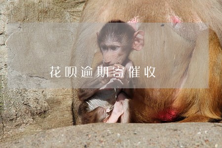 花呗逾期寄催收 花呗逾期寄催收