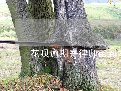 花呗逾期寄律师函到本地 花呗逾期寄律师函到本地