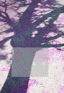 花呗逾期对中信有影响 花呗逾期对中信有影响