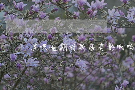 花呗逾期对买房有影响吗 花呗逾期对买房有影响吗