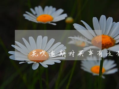 花呗逾期对买车有没有影响 花呗逾期对买车有没有影响