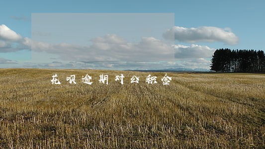 花呗逾期对公积金 花呗逾期对公积金