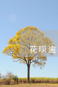 花呗逾期对房贷影响大吗 花呗逾期对房贷影响大吗