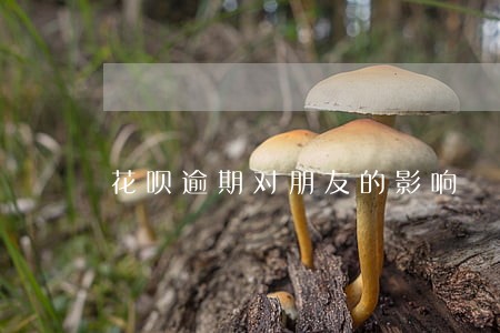 花呗逾期对朋友的影响 花呗逾期对朋友的影响