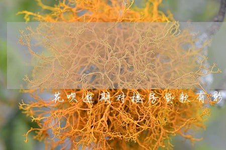 花呗逾期对楼房贷款有影响吗 花呗逾期对楼房贷款有影响吗