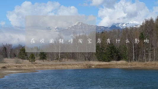 花呗逾期对淘宝店有什么影响