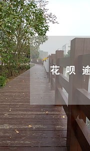 花呗逾期对淘宝店铺的影响 花呗逾期对淘宝店铺的影响