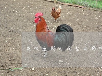 花呗逾期对淘宝的影响吗 花呗逾期对淘宝的影响吗