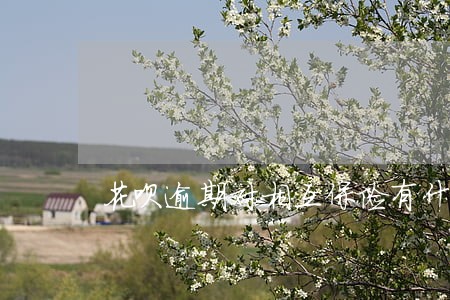 花呗逾期对相互保险有什么影响