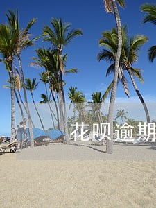 花呗逾期对相互保险的影响