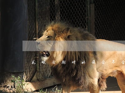 花呗逾期对社保会不会有影响