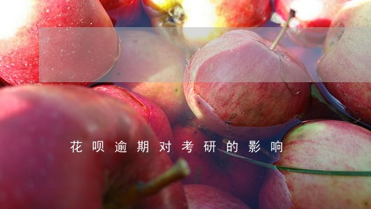 花呗逾期对考研的影响 花呗逾期对考研的影响