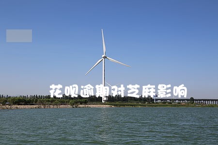 花呗逾期对芝麻影响 花呗逾期对芝麻影响