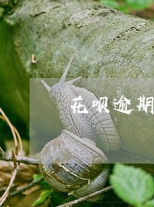 花呗逾期对贷款买车有影响吗 花呗逾期对贷款买车有影响吗