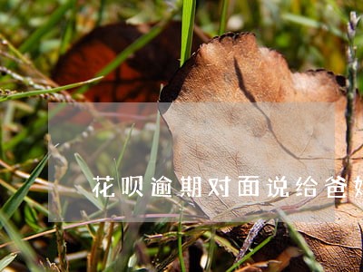 花呗逾期对面说给爸妈打电话吗 花呗逾期对面说给爸妈打电话吗