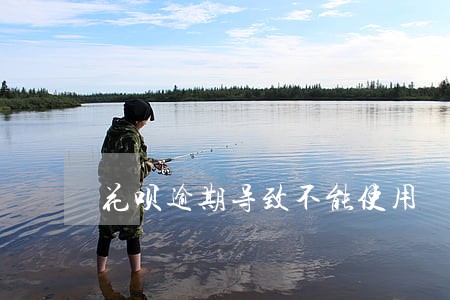 花呗逾期导致不能使用 花呗逾期导致不能使用