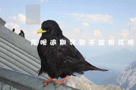 花呗逾期导致不能用花呗 花呗逾期导致不能用花呗