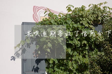 花呗逾期导致了信用分下降 花呗逾期导致了信用分下降