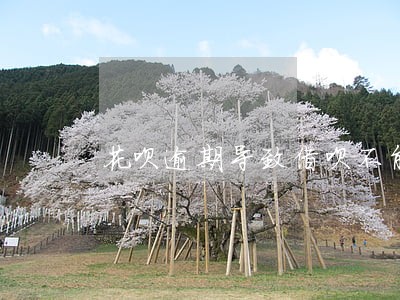 花呗逾期导致借呗不能用 花呗逾期导致借呗不能用
