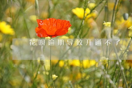 花呗逾期导致开通不了 花呗逾期导致开通不了