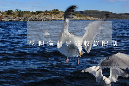花呗逾期导致收款限制 花呗逾期导致收款限制