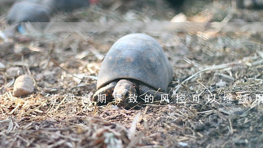 花呗逾期导致的风控可以继续用吗 花呗逾期导致的风控可以继续用吗