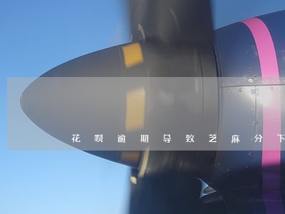 花呗逾期导致芝麻分下降 花呗逾期导致芝麻分下降