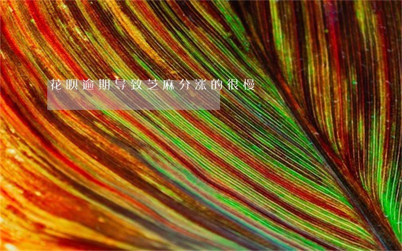 花呗逾期导致芝麻分涨的很慢 花呗逾期导致芝麻分涨的很慢