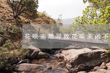 花呗逾期导致花呗关闭不能还款 花呗逾期导致花呗关闭不能还款