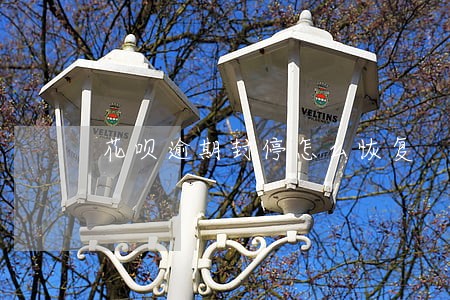 花呗逾期封停怎么恢复 花呗逾期封停怎么恢复