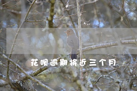 花呗逾期将近三个月