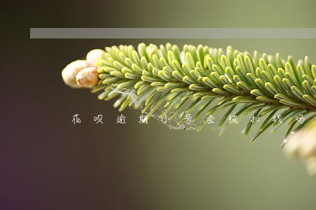 花呗逾期小号会被扣钱吗 花呗逾期小号会被扣钱吗