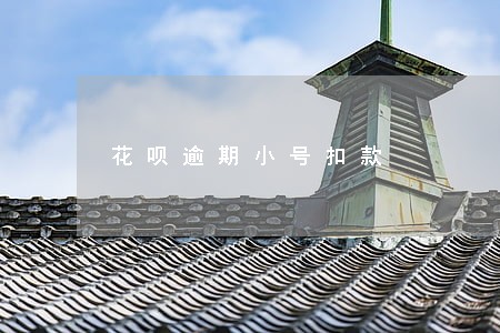 花呗逾期小号扣款 花呗逾期小号扣款