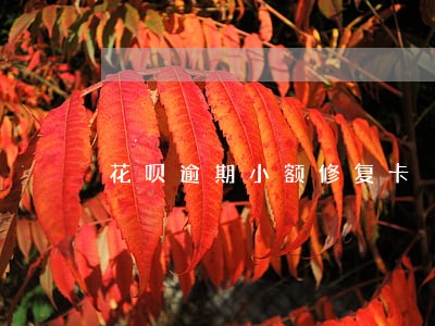花呗逾期小额修复卡 花呗逾期小额修复卡