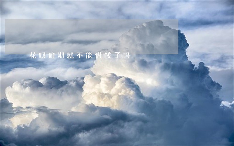 花呗逾期就不能借钱了吗 花呗逾期就不能借钱了吗
