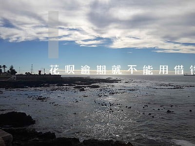 花呗逾期就不能用借钱软件了吗 花呗逾期就不能用借钱软件了吗