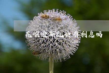 花呗逾期就会有利息吗 花呗逾期就会有利息吗