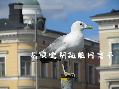 花呗逾期就能网贷不