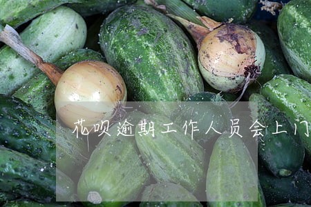 花呗逾期工作人员会上门走访吗 花呗逾期工作人员会上门走访吗
