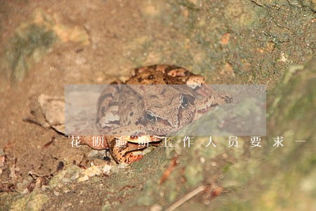 花呗逾期工作人员要求一次性结清 花呗逾期工作人员要求一次性结清