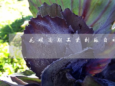 花呗逾期工资到账自动还款吗 花呗逾期工资到账自动还款吗