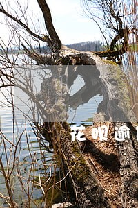 花呗逾期巨大金额是多少 花呗逾期巨大金额是多少