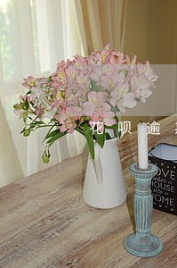 花呗逾期已冻结怎么延迟还款 花呗逾期已冻结怎么延迟还款