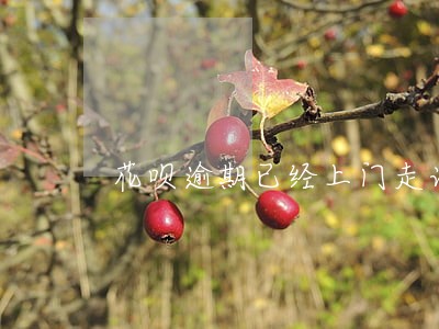 花呗逾期已经上门走访 花呗逾期已经上门走访